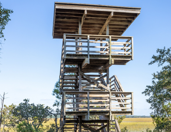 Hidden Gems of Kiawah Island